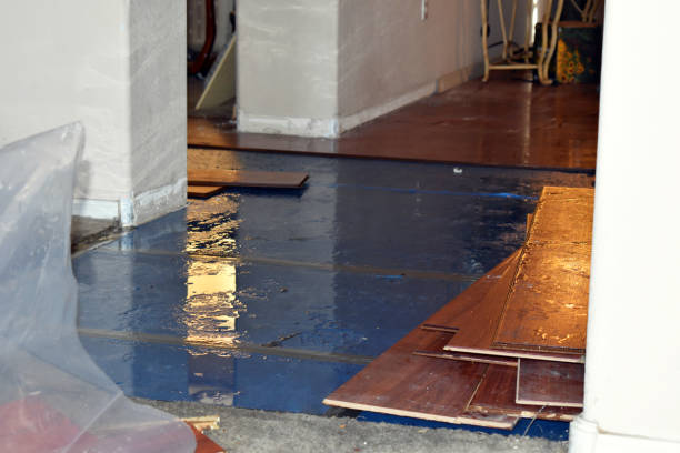Professional Sewage Cleanup technician working in Townville, PA