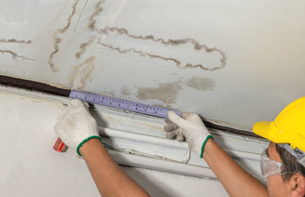 Reliable Sewage Cleanup contractor in Townville, PA by Water Damage Irwin